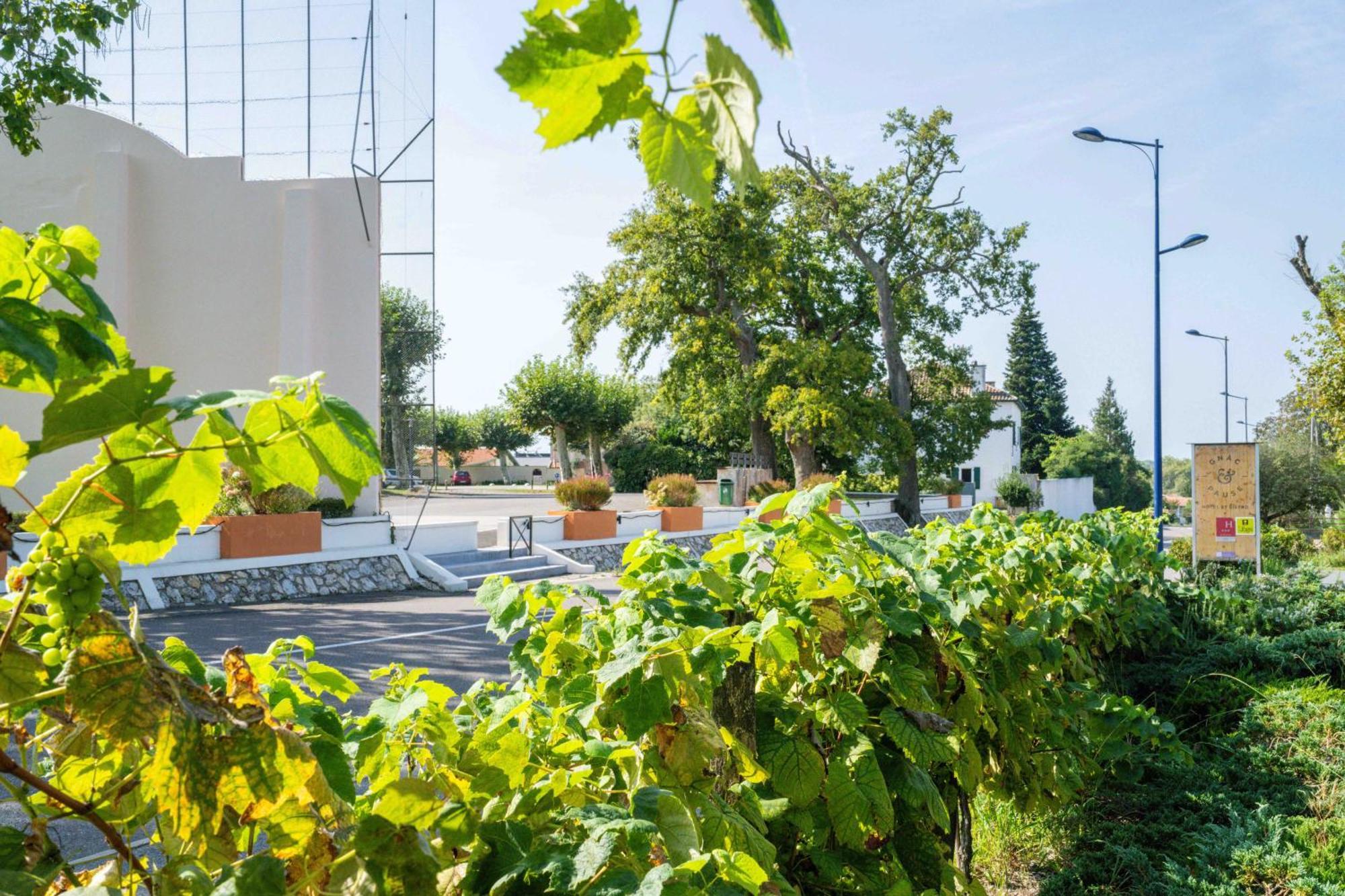 Logis Hotels Gnac E Pause Saint-Lon-Les-Mines Luaran gambar